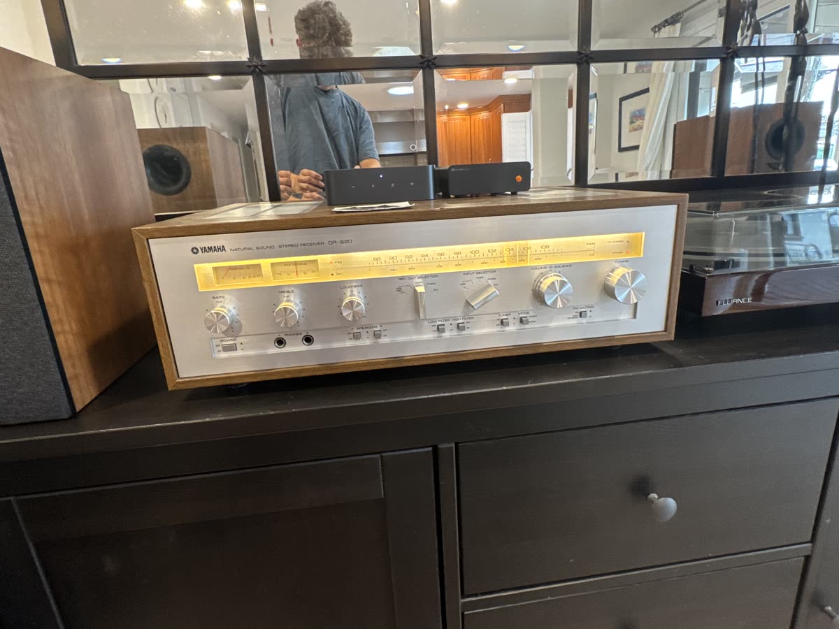 The installed COB lights